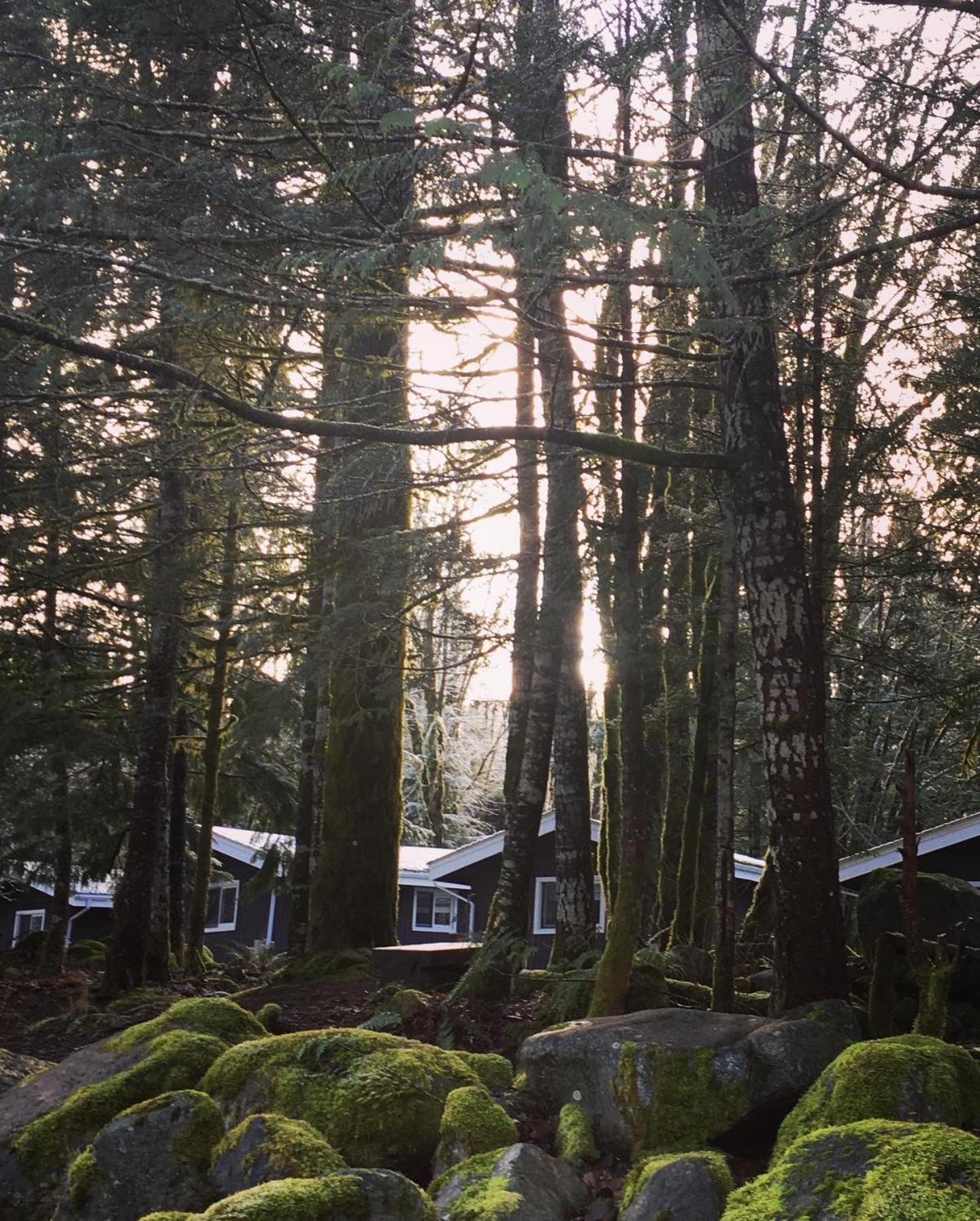 Sunwolf Riverside Cabins Brackendale Экстерьер фото